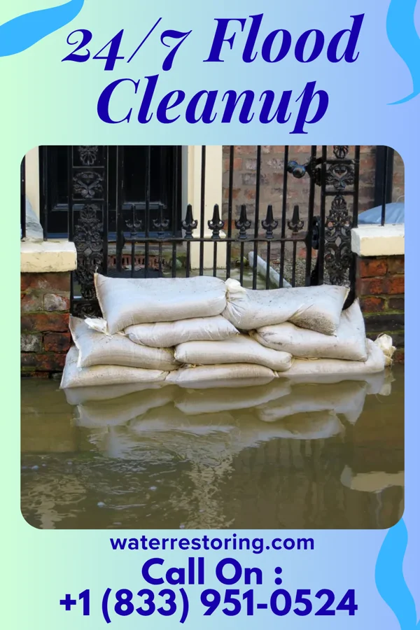 24/7 Flood Cleanup in Indian Head, MD